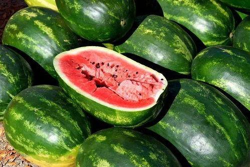 吃瓜剪辑视频素材,揭秘热门吃瓜剪辑背后的故事