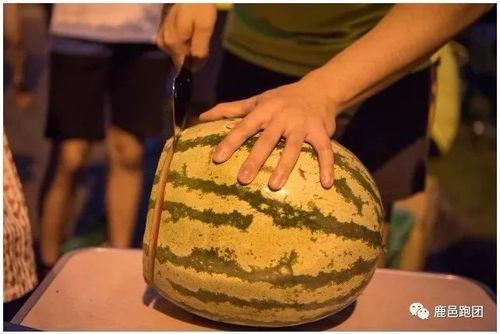 吃瓜群众不敢走,勇敢迈出第一步，不再畏缩不前