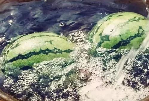 吃瓜探密,吃瓜探密背后的真相与内幕