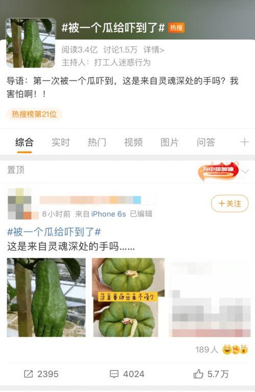 全网最大的吃瓜网站,娱乐圈幕后真相大曝光！