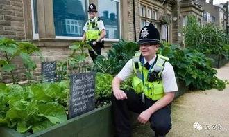 吃瓜的小镇,一场全民参与的乡村盛宴