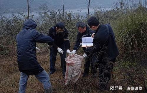 郑州碎尸案吃瓜视频最新,吃瓜视频带你还原惊心动魄的真相