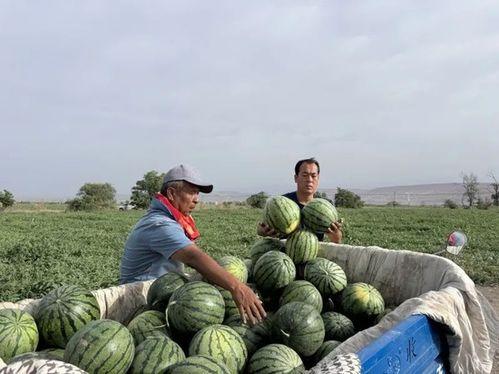 徐水最新吃瓜,揭秘背后惊人真相