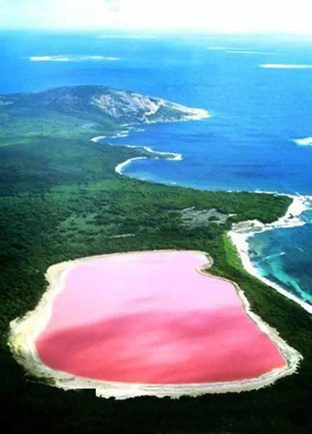 湖中吃瓜,一场吃瓜引发的神秘事件