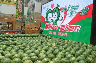 泰华城吃瓜截图,揭秘网红美食背后的真相