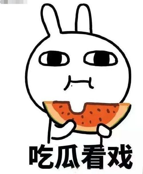 吃瓜初音社,揭秘二次元世界的欢乐与争议