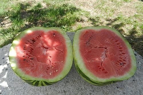 梦见吃苏瓜,苏瓜美食之旅