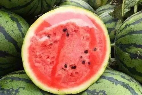 加米吃瓜,揭秘娱乐圈背后的那些事儿