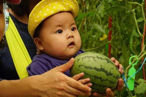 吃瓜金二,揭秘娱乐圈背后的故事