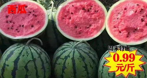 梦见同事给分瓜吃,同事赠瓜的温馨瞬间