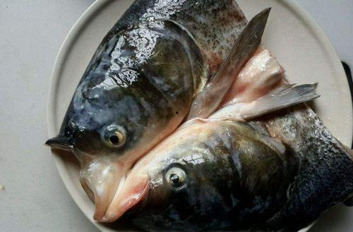 鱼头怪吃瓜抠鼻,揭秘奇特的趣味瞬间