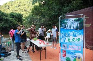 最佳吃瓜群众图文,一场视觉盛宴的幕后故事