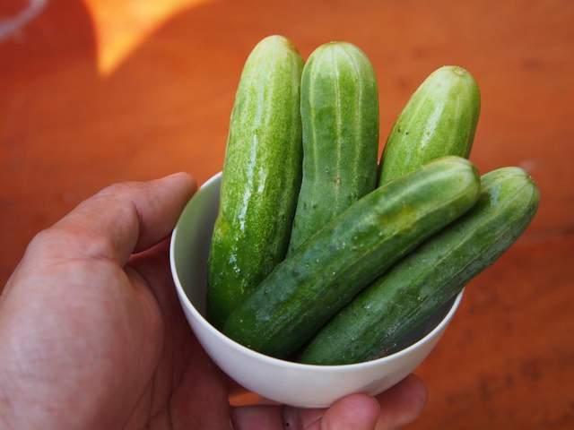 什么季节有秋瓜吃,尽享秋瓜美味时光