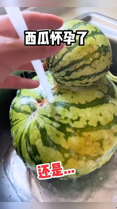 趣味吃瓜视频合集