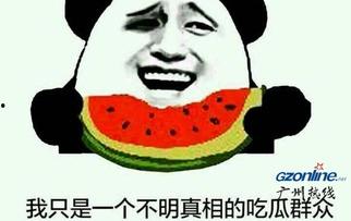 吃瓜群众是什么意思什么梗,揭秘网络热词背后的梗与现象