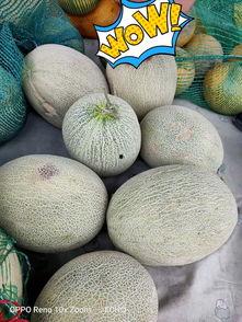 新疆吃瓜地点,探寻新疆特色吃瓜胜地