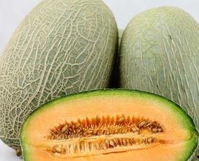 每日吃哈密瓜,哈密瓜的甜蜜日常