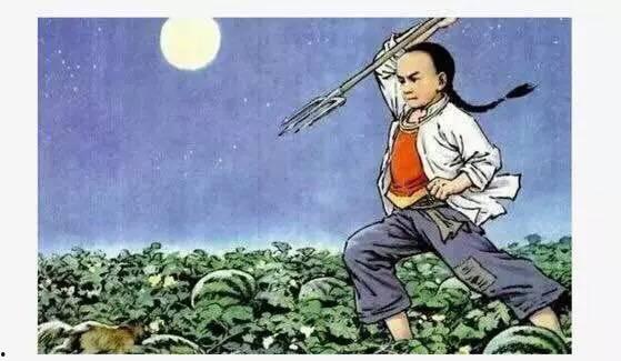 吃瓜少年和猹,一场意外的瓜田奇遇