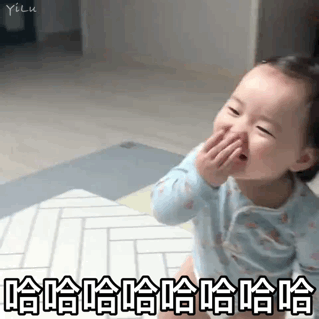 小猪吃瓜表情包,萌态可掬，笑料横生