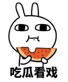 胖虎的吃瓜日记,揭秘娱乐圈幕后故事