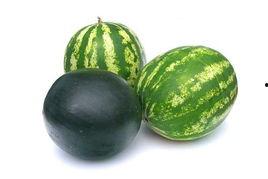 临海爆料吃瓜事件,吃瓜事件背后的真相揭秘  第2张