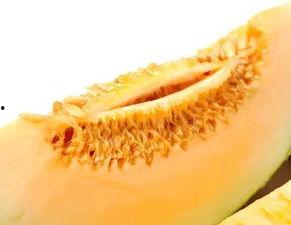 蜜瓜不熟可以吃吗,蜜瓜未熟可食用吗？揭秘成熟度与口感的关系  第3张