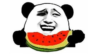 搞笑解说带你吃瓜,笑料百出！搞笑解说带你领略吃瓜界的欢乐盛宴  第2张