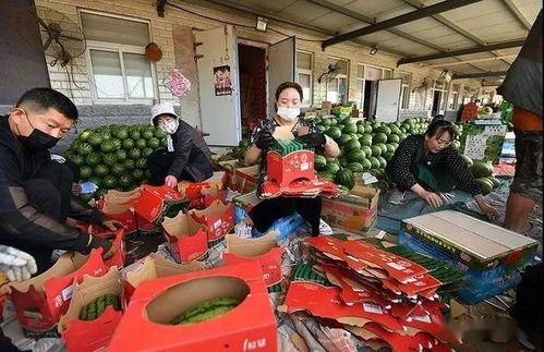 曲靖吃瓜群众图片视频