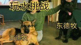 吃瓜进电报,揭秘电报新潮流