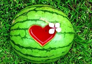 梦到和老板吃瓜,职场关系新解读 第3张 梦到和老板吃瓜,职场关系新解读 第3张