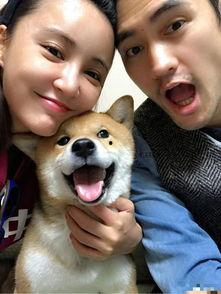 天涯 吃瓜 最萌  第2张